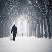 Winter Survival Guide 2012