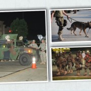 Ferguson’s looters propel racist police agenda